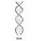 Tričko DNA 007-MMBL