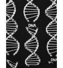 Intimo DNA 062-IMNE